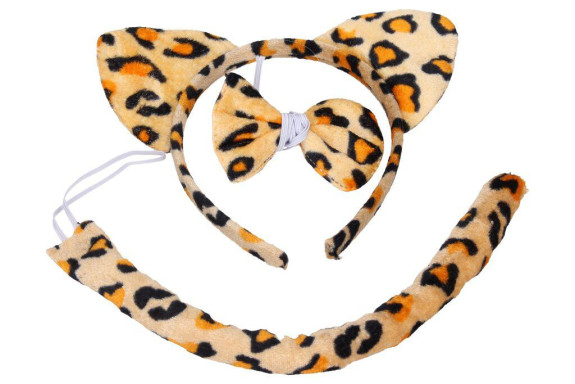 Set karneval - tiger