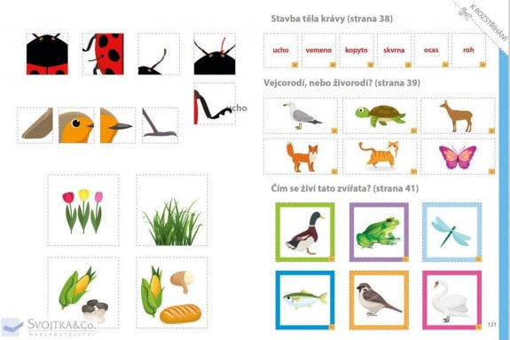 Môj veľký zošit Montessori objavuj svet