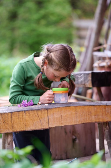 Terra Kids Nádobka na hmyz s lupou 3v1 Haba