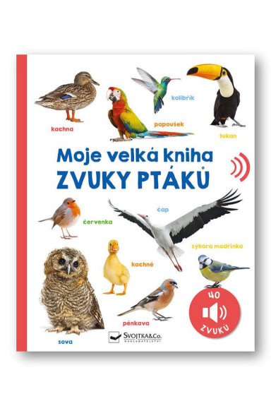 Moja veľká kniha Zvuky vtákov