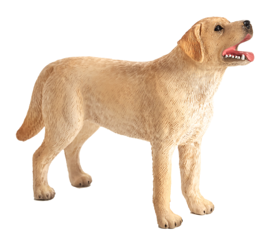 Mojo Labrador