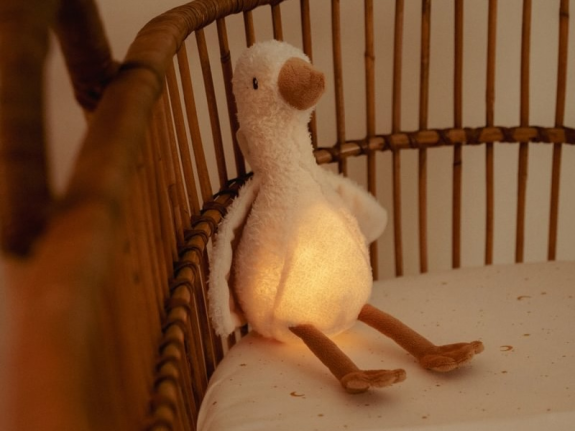 Zaspávač hus Newborn Naturals Little Dutch