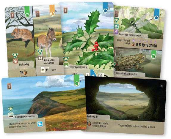 Zmiešaný les: Dartmoor Exmoor