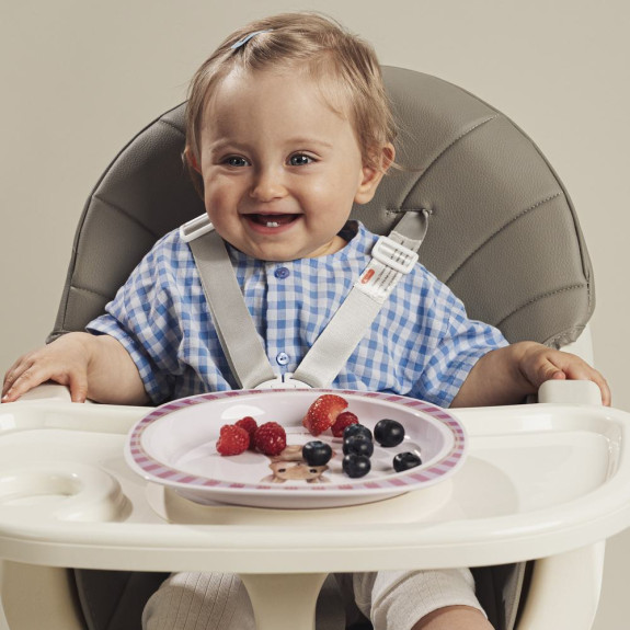 Tanier s prísavkou Woodland Canpol babies