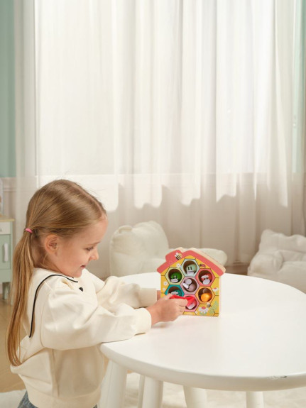 Hra Včelí úľ Toys 2Kids