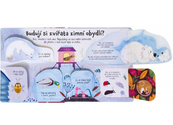 Kuk pod okienko - Čo robia zvieratá v zime?