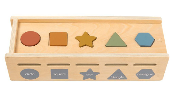 Motorická vkladačka Triedenie tvarov a farieb 2Kids Toys