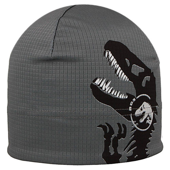 Funkčná čiapka Picowinter T-rex Šedá RDX
