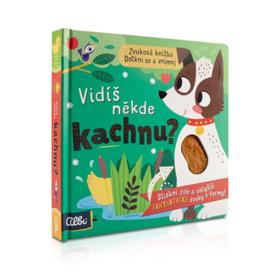 Vidíš niekde kačicu? Albi