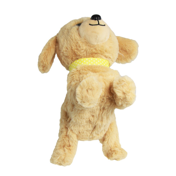 Hafíky II. Lumpík - Retriever
