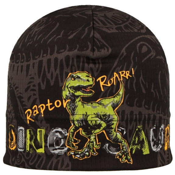 Funkčná čiapka Picowinter Dino Roarr Šedá RDX