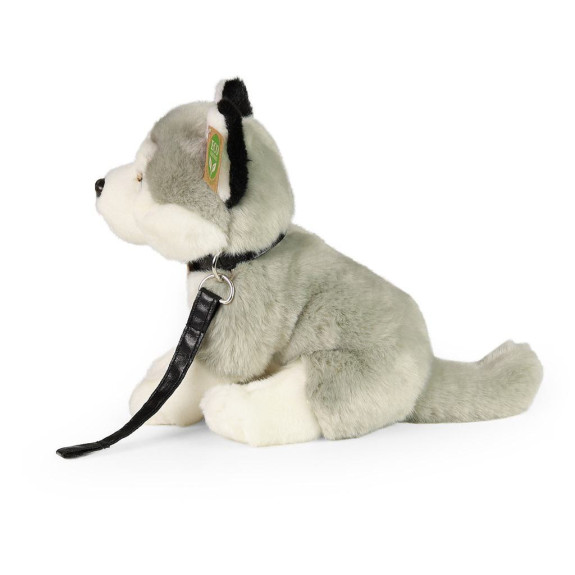 Plyšový pes husky sediaci s vodítkom 28 cm Eco-Friendly Rappa