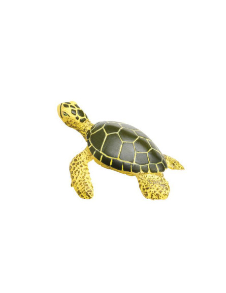 Mláďa morské korytnačky