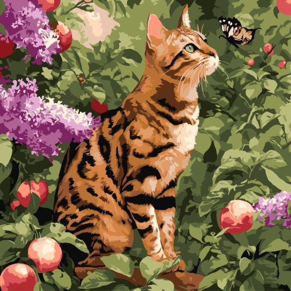 Maľovanie podľa čísel - Bengálska mačka 40 x 40 cm
