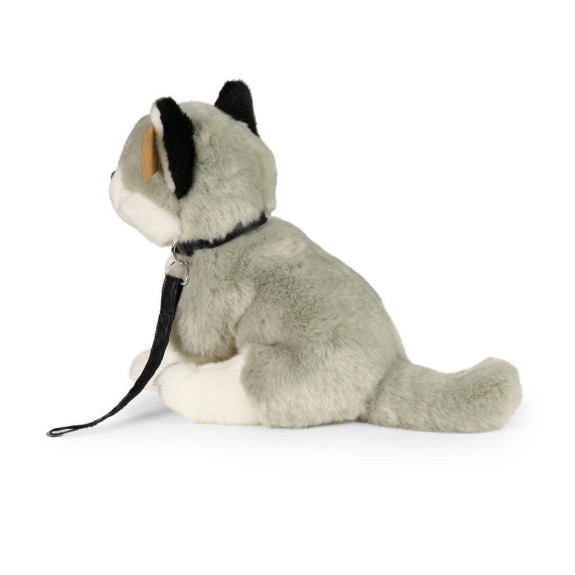 Plyšový pes husky sediaci s vodítkom 28 cm Eco-Friendly Rappa