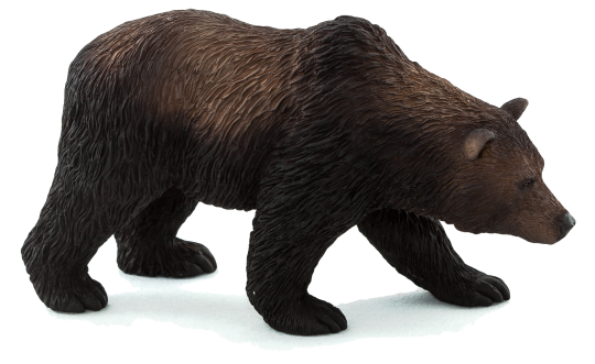 Mojo Medveď grizzly