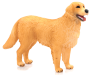 Mojo Zlatý retriever