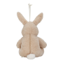 Zaspávačik zajačik Newborn Naturals Little Dutch