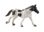 Mojo Kôň Tinker Yearling
