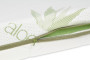 Ortopedický matrac Flora 140 x 70 x 10 cm BabyMatex
