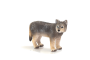 Mojo Vlk mláďa