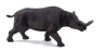 Mojo Brontotherium