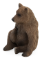 Mojo Medveď grizzly mláďa