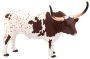 Mojo Texaský dlhorohý dobytok