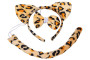Set karneval - tiger