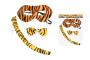 Set karneval - tiger
