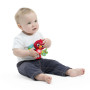 Hračka hudobná senzorická Roxy's Bright Flight™ 3 m+ Baby Einstein