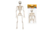 Dekorácia Halloween kostlivec 45 cm na zavesenie