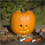 Sada 5 nástrojov na vyrezávanie halloweenskej tekvice