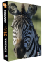 Box na zošity A4 Jumbo Zebra