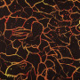 Obliečky micro Jurský svet "Volcano 01" 140 x 200, 70 x 90 cm Jerry Fabrics