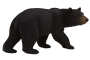 Mojo Medveď baribal