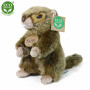 Plyšový svišť 17 cm Eco-Friendly Rappa