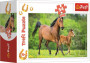 Minipuzzle koňa 4 druhy, 54 dielikov