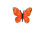 Motýľ Monarcha brestová (babočka) zooted plast 5,5 cm