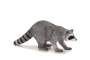 Mojo Mýval