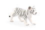 Mojo Tiger biely mláďa stojaci