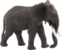 Mojo Slon africký