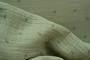 Plienky 70 x 70 cm 2 ks Little Dutch