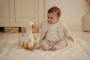 Hus plyšová s aktivitami Newborn Naturals Little Dutch