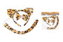 Set karneval - tiger