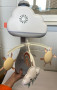 Fisher-Price Kolotoč nad postieľku dážď s dúhou