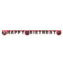 Baner EKO HB - Spiderman (World of web)