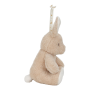 Zaspávačik zajačik Newborn Naturals Little Dutch