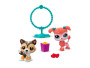 Littlest Pet Shop 2 figúrky - 4 druhy