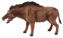 Mojo Entelodont Daeodon